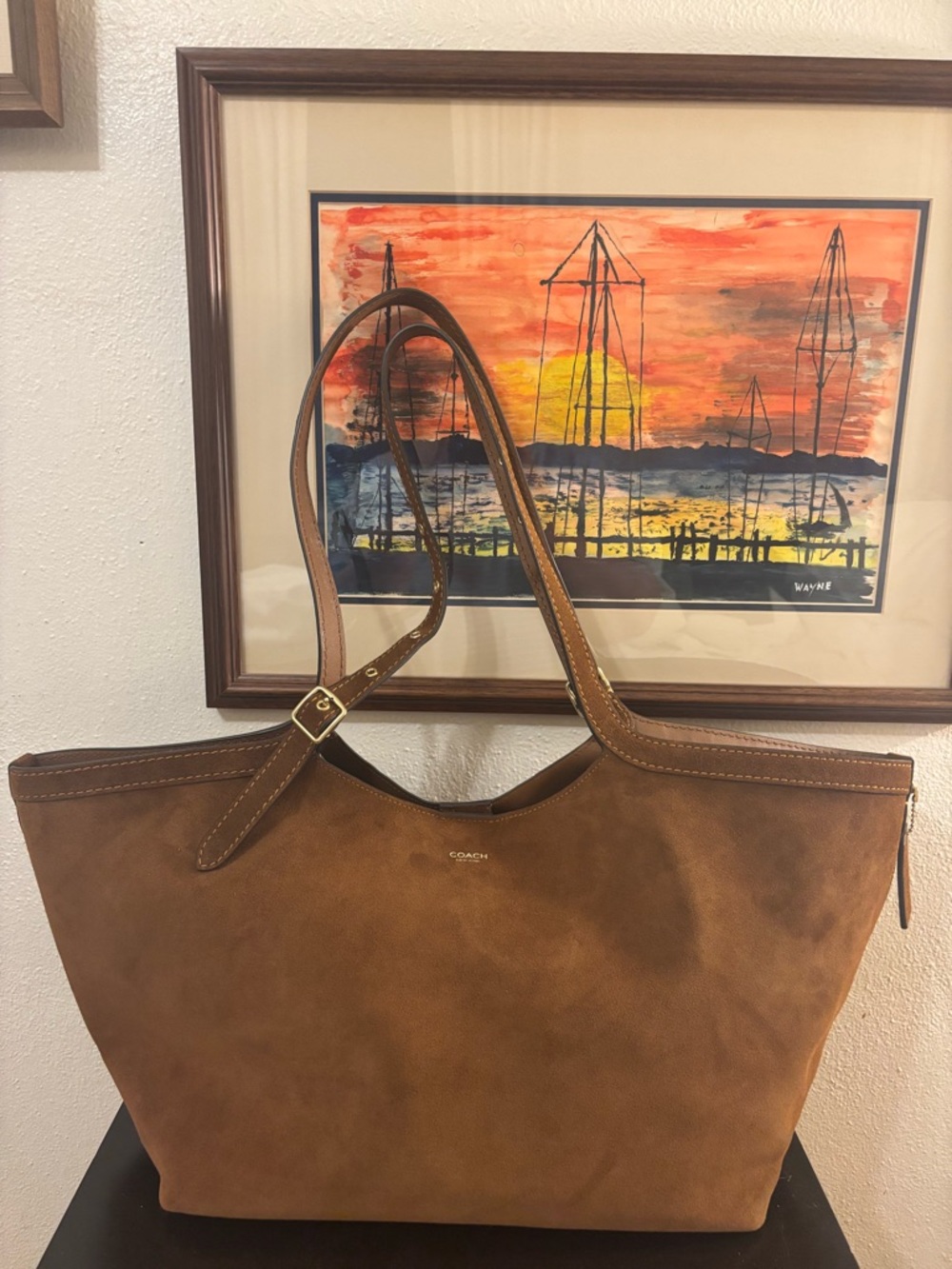 Authentic NWT Coach Suede Tote in Warm Brown